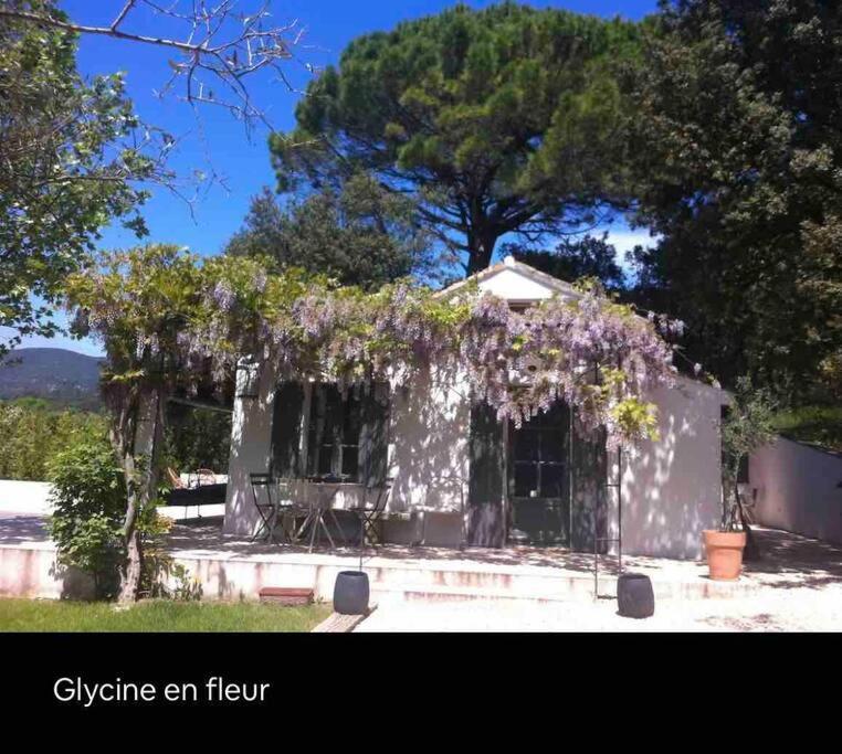 Bastidon Farfallina Puyvert Exterior foto
